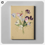 1-72_Mary-Vaux-Walcott_canvas