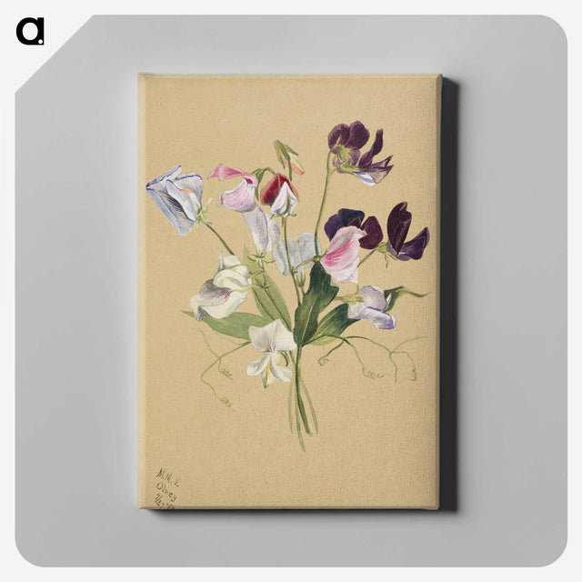 1-72_Mary-Vaux-Walcott_canvas