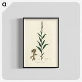 1-72_Medical-Botany_blk-crop