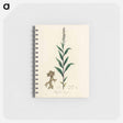 アートメモ帳-Cloves Eugenia caryophyllata Illustration
 - 薬用植物学 Memo.