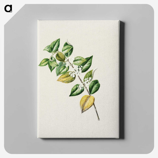1-72_Native-Flowering-Plants-of-New-Zealand_canvas