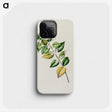 1-72_Native-Flowering-Plants-of-New-Zealand_phone