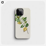 1-72_Native-Flowering-Plants-of-New-Zealand_phone