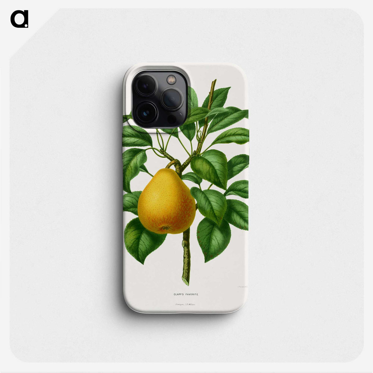 1-72_Nederlandsche-Flora-en-Pomona_phone