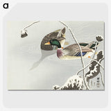 1-72_Ohara-Koson_picture-crop