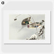 1-72_Ohara-Koson_picture