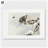 1-72_Ohara-Koson_picture