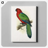 1-72_Parrots-in-Captivity_canvas