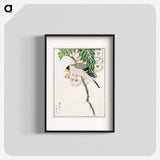 アートポスター-Japanese Masked Hawfinch and Silk Tree
 - 鳥類図鑑 Poster.