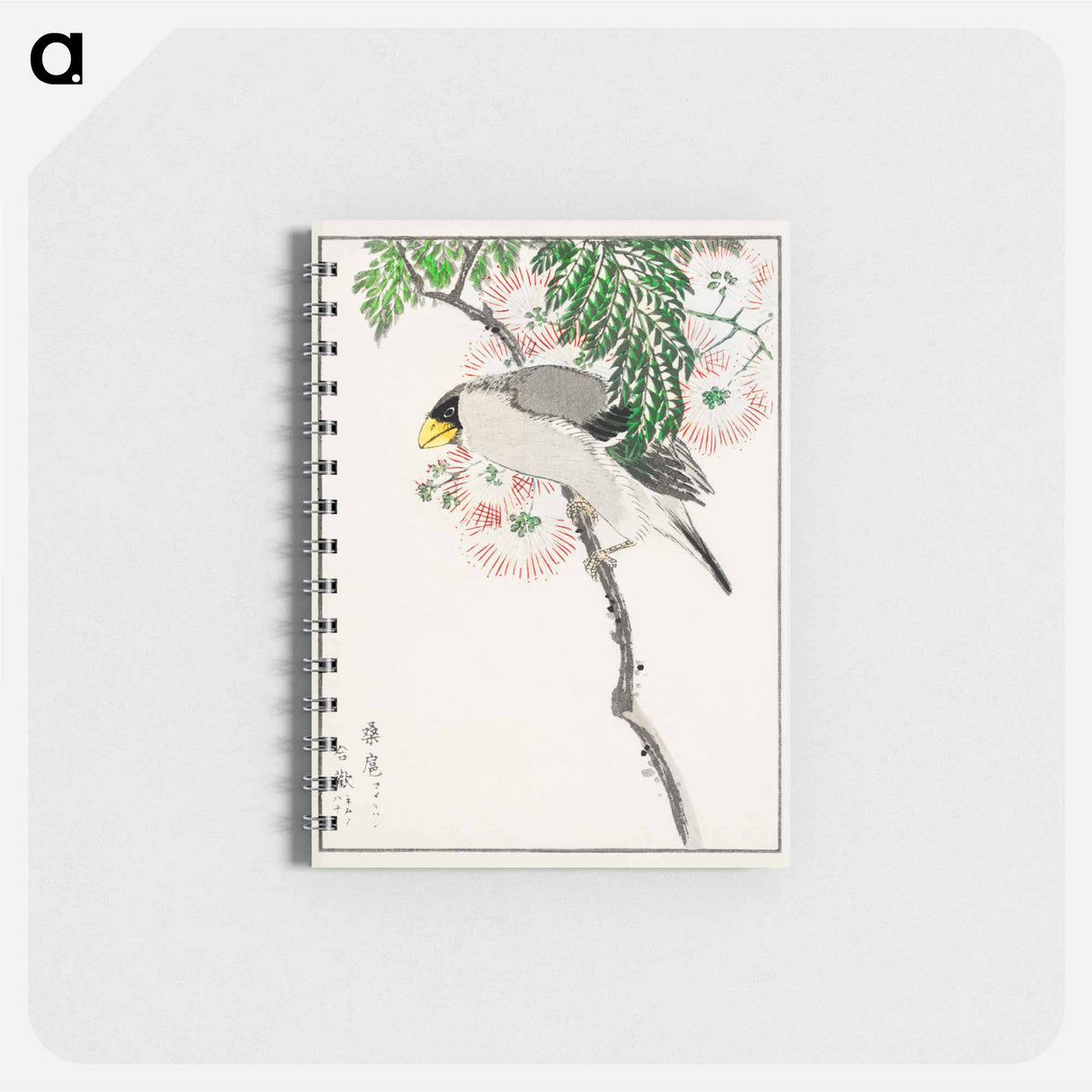 アートメモ帳-Japanese Masked Hawfinch and Silk Tree
 - 鳥類図鑑 Memo.