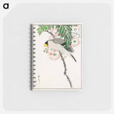 アートメモ帳-Japanese Masked Hawfinch and Silk Tree
 - 鳥類図鑑 Memo.