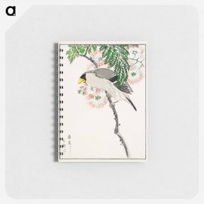 アートメモ帳-Japanese Masked Hawfinch and Silk Tree
 - 鳥類図鑑 Memo.