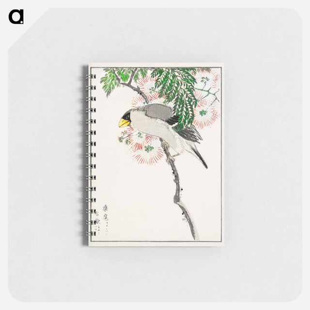 アートメモ帳-Japanese Masked Hawfinch and Silk Tree
 - 鳥類図鑑 Memo.