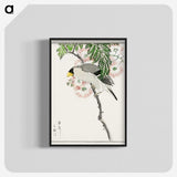1-72_Pictorial-Monograph-of-Birds_blk-crop