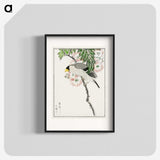 1-72_Pictorial-Monograph-of-Birds_blk