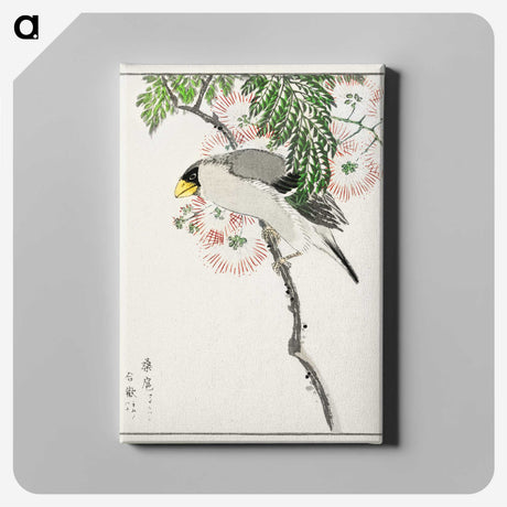 1-72_Pictorial-Monograph-of-Birds_canvas