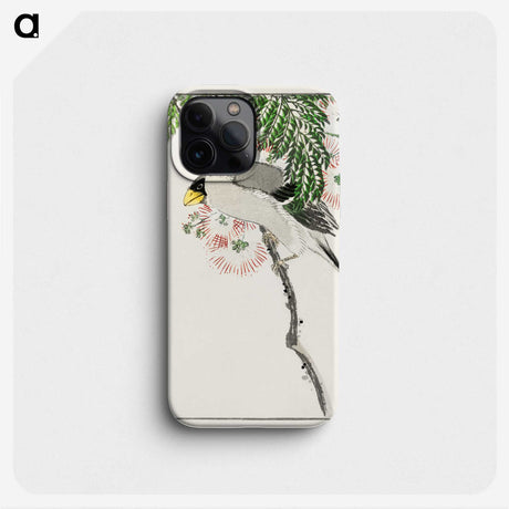1-72_Pictorial-Monograph-of-Birds_phone