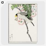 1-72_Pictorial-Monograph-of-Birds_picture-crop