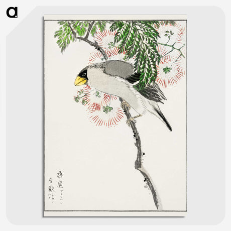 1-72_Pictorial-Monograph-of-Birds_picture-crop