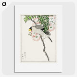 1-72_Pictorial-Monograph-of-Birds_picture