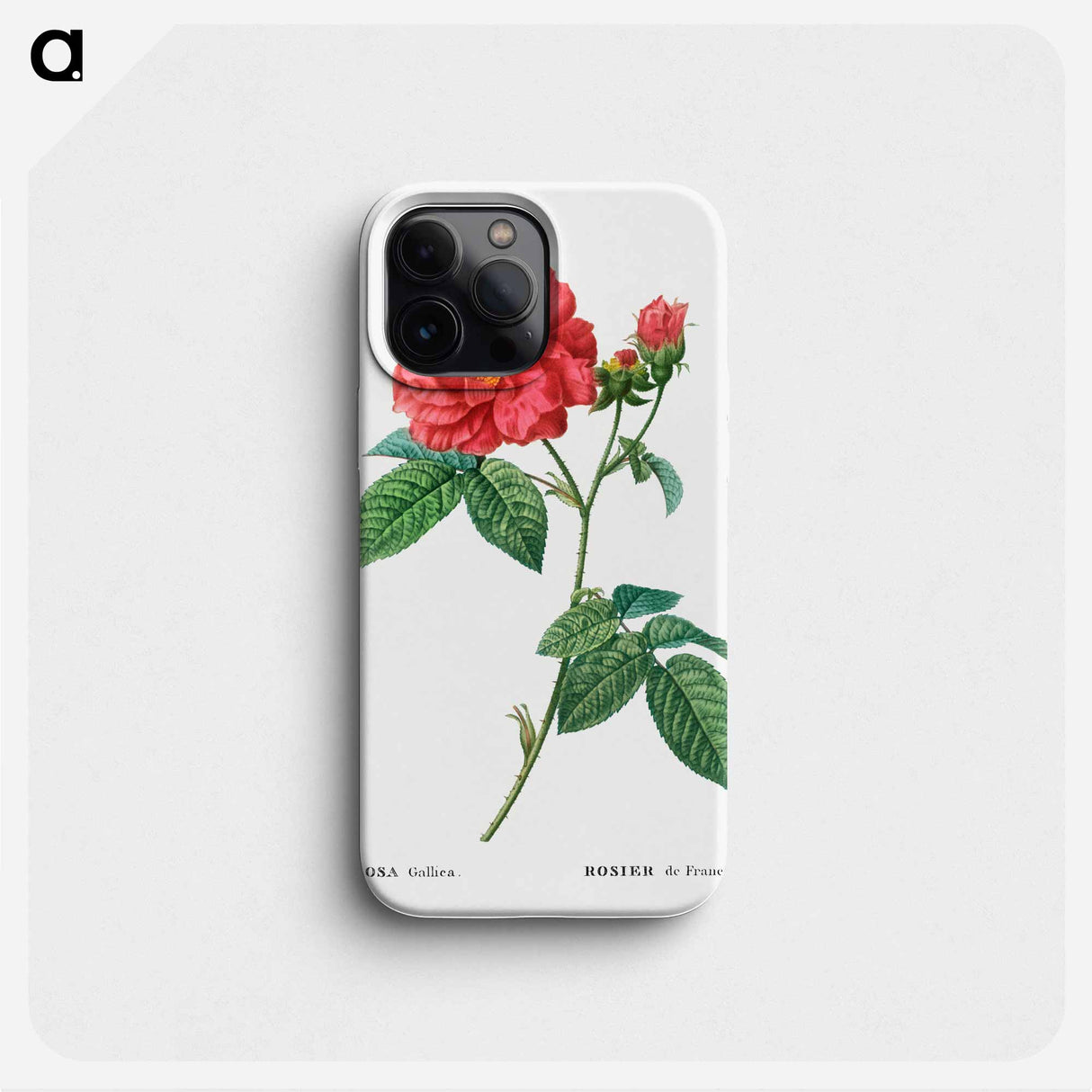 French rose - ピエール ジョゼフ ルドゥーテ Phone Case.