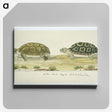 1-72_Robert-Jacob-Gordon_canvas