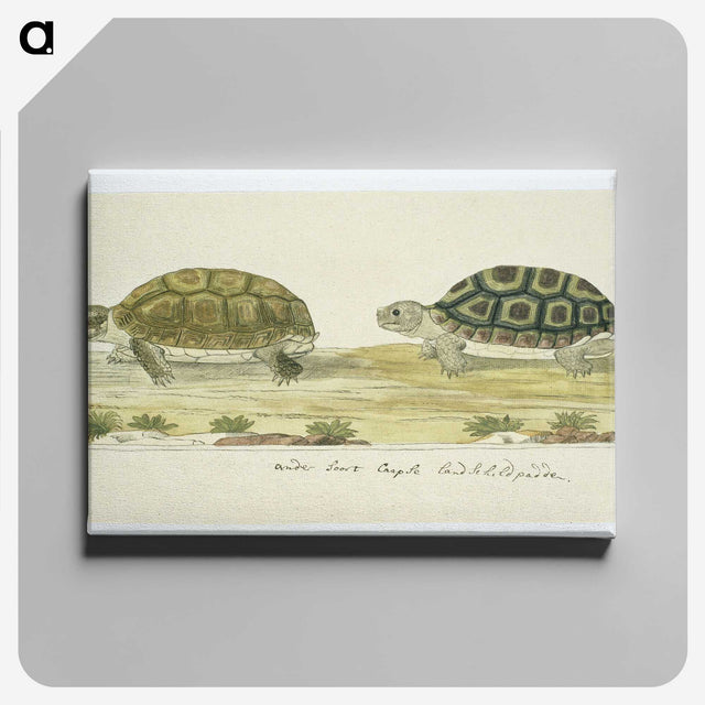 1-72_Robert-Jacob-Gordon_canvas