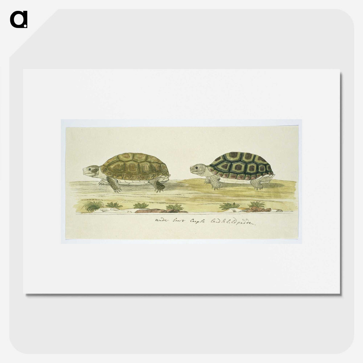 1-72_Robert-Jacob-Gordon_picture