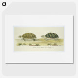 1-72_Robert-Jacob-Gordon_picture