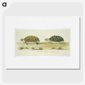 1-72_Robert-Jacob-Gordon_picture