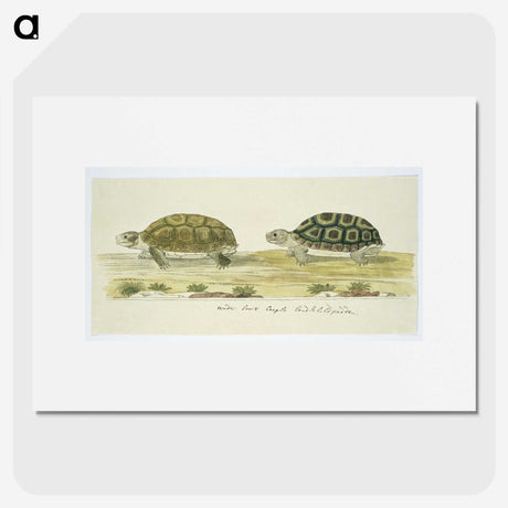 1-72_Robert-Jacob-Gordon_picture