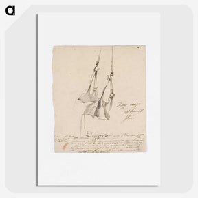 1-72_Robert-Wilhelm-Ekman_picture