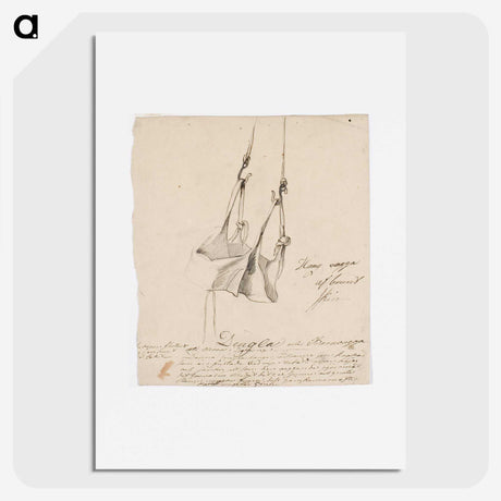 1-72_Robert-Wilhelm-Ekman_picture