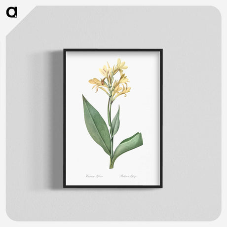 1-72_The-Lilies_blk-crop