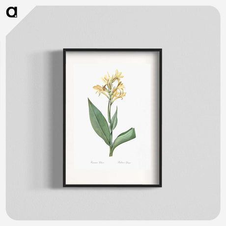 1-72_The-Lilies_blk