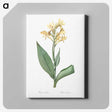 1-72_The-Lilies_canvas