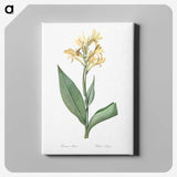 1-72_The-Lilies_canvas