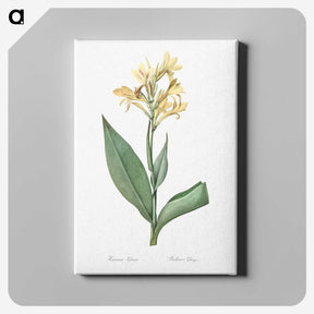 1-72_The-Lilies_canvas