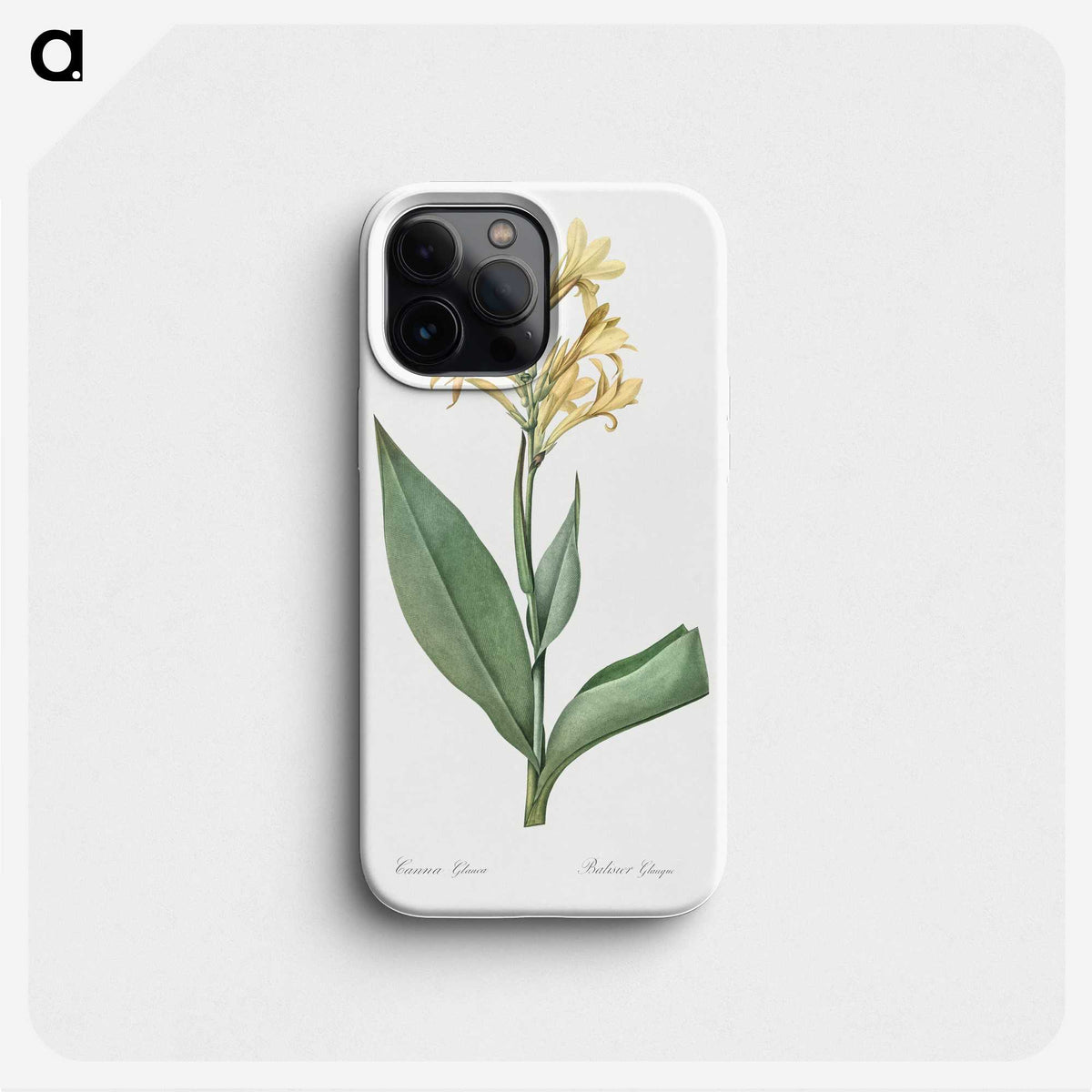 1-72_The-Lilies_phone