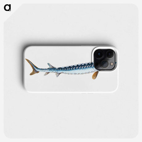 1-72_The-Natural-History-of-British-Fishes_phone