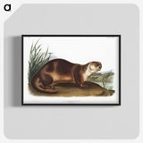 1-72_The-Viviparous-Quadrupeds_blk-crop