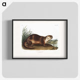 1-72_The-Viviparous-Quadrupeds_blk