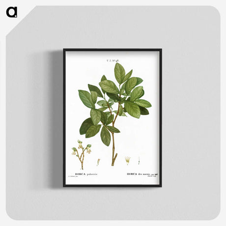 1-72_Treatise-on-Trees-and-Shrubs_blk-crop