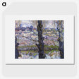 1-72_Vincent-van-Gogh_picture
