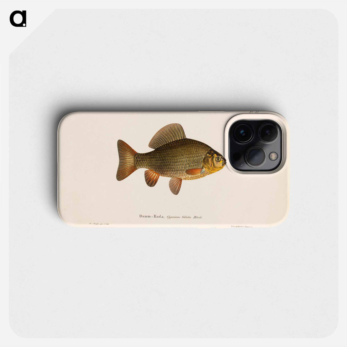 Pond crucian carp - Wilhelm von Wright Phone Case.