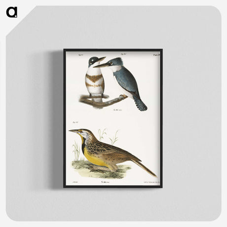 1-72_Zoology-of-New-York_blk-crop