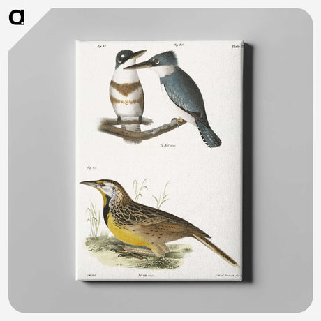 1-72_Zoology-of-New-York_canvas