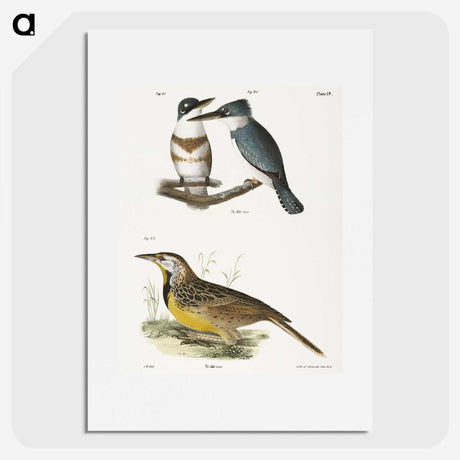 1-72_Zoology-of-New-York_picture