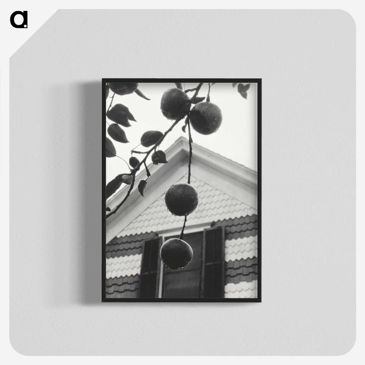 1-73_Alfred-Stieglitz_blk-crop