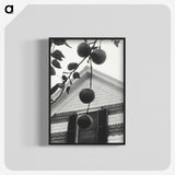1-73_Alfred-Stieglitz_blk-crop